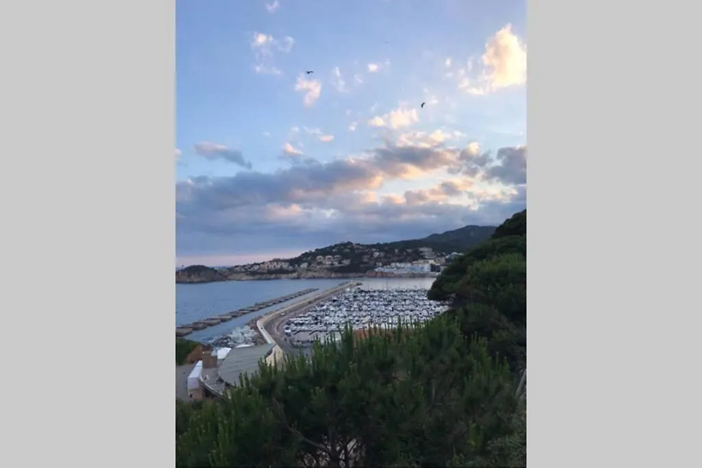 Nuevo Luminoso Apartamento Catalina A 80 Metros De La Playa Para 4 Personas Sant Feliu de Guíxols Apartment