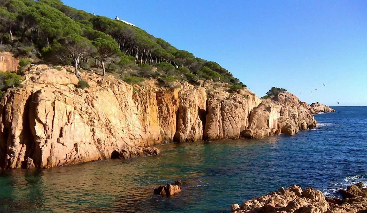 Nuevo Luminoso Apartamento Catalina A 80 Metros De La Playa Para 4 Personas Sant Feliu de Guíxols Apartment